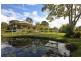 230 Palmwoods Montville Rd, Palmwoods QLD 4555