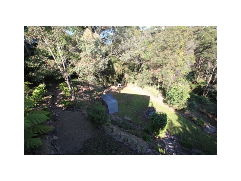 Yandina QLD 4561