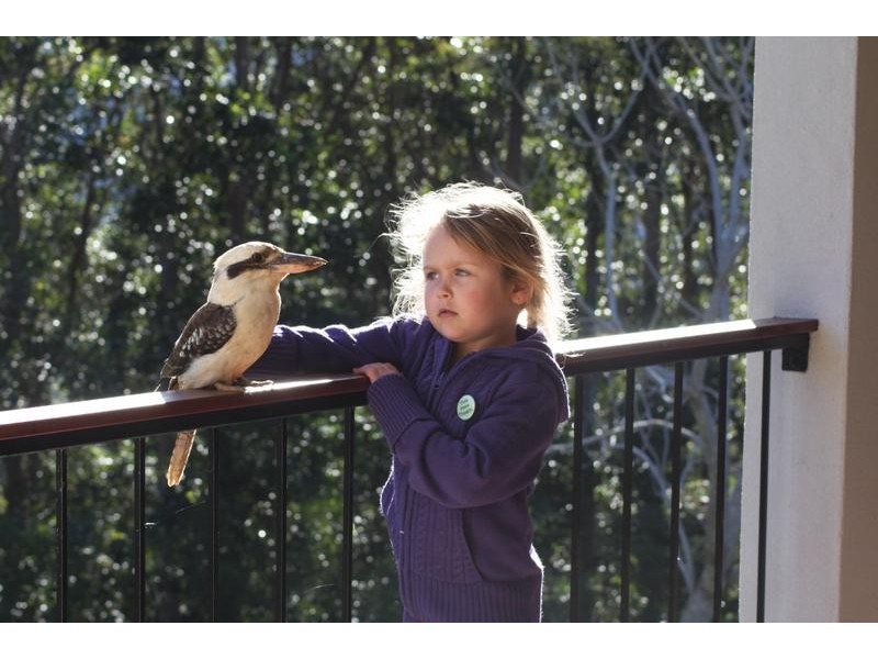 52 Mapleton Falls Rd, Mapleton QLD 4560