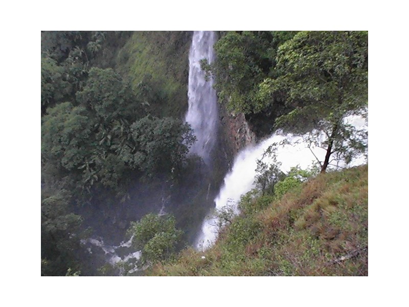 52 Mapleton Falls Rd, Mapleton QLD 4560