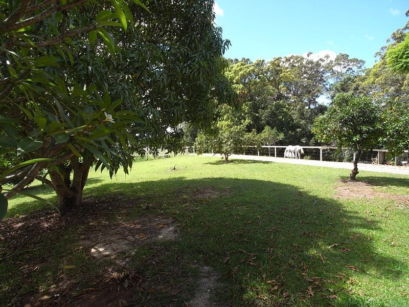132 Old Palmwoods Road, West Woombye QLD 4559