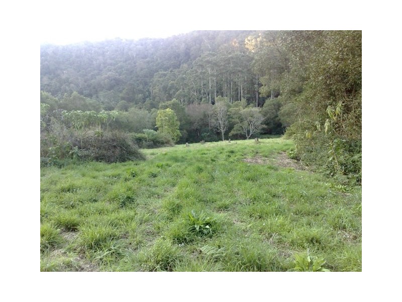 Lot 11, 533 Delicia Rd, Mapleton QLD 4560