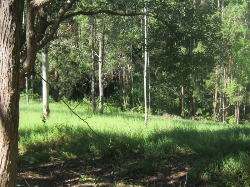Lot 102, 9 Hamilton Rd, West Woombye QLD 4559