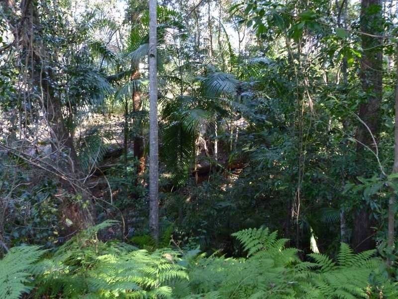 Lot 102, 9 Hamilton Rd, West Woombye QLD 4559