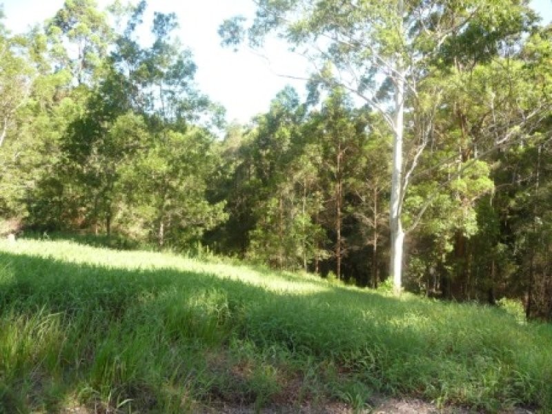 Lot 102, 9 Hamilton Rd, West Woombye QLD 4559