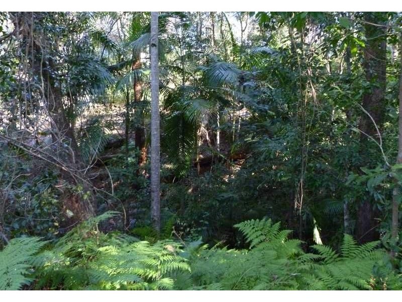 Lot 102, 9 Hamilton Rd, West Woombye QLD 4559