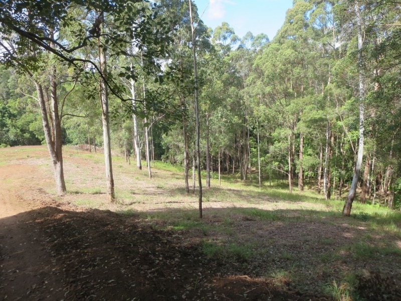 Lot 102, 9 Hamilton Rd, West Woombye QLD 4559