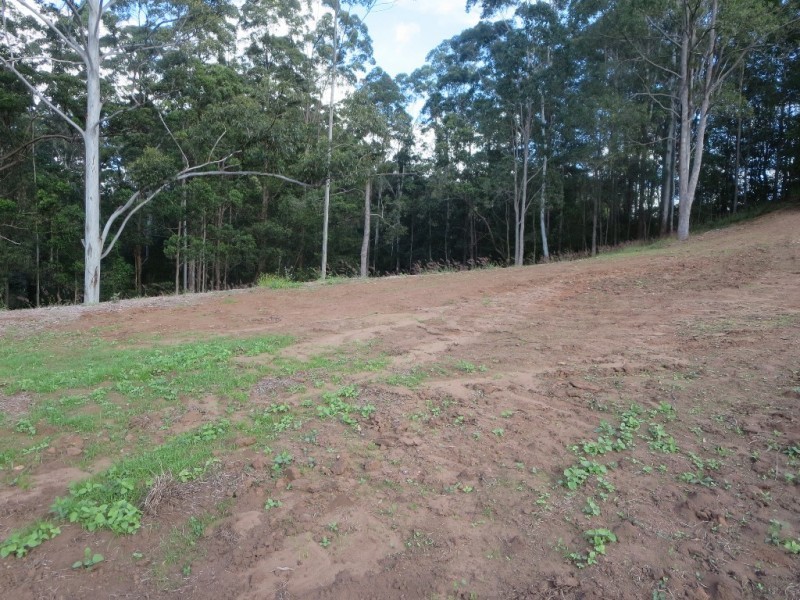 Lot 102, 9 Hamilton Rd, West Woombye QLD 4559