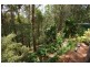 63 Ratcliffe rd, Palmwoods QLD 4555