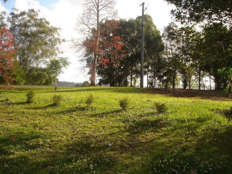 Corner Jane & Churchill Streets, Palmwoods QLD 4555