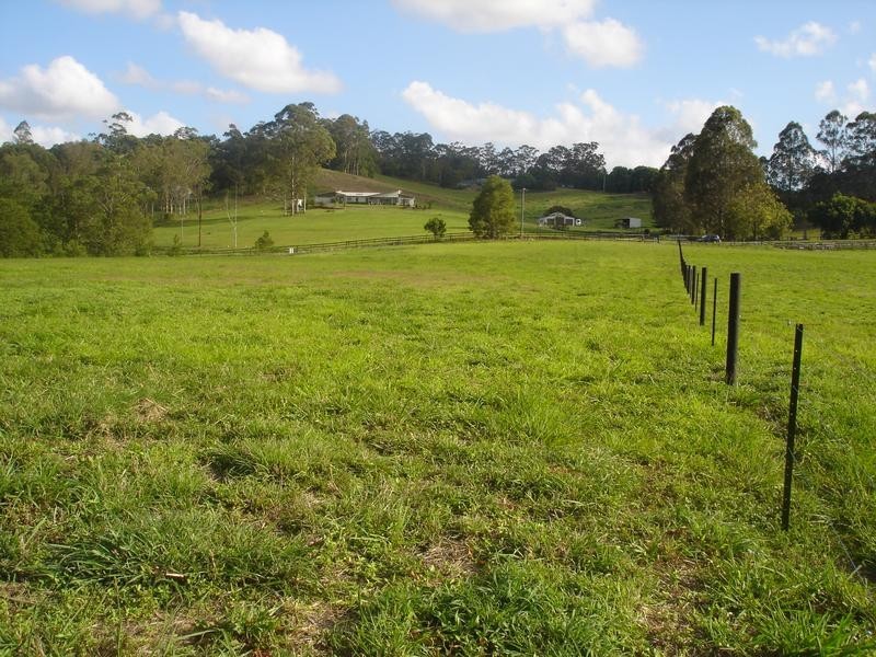 223 Diddillibah Road, Woombye QLD 4559