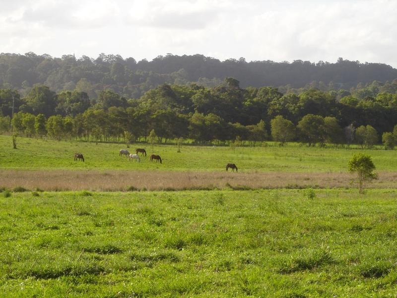 223 Diddillibah Road, Woombye QLD 4559