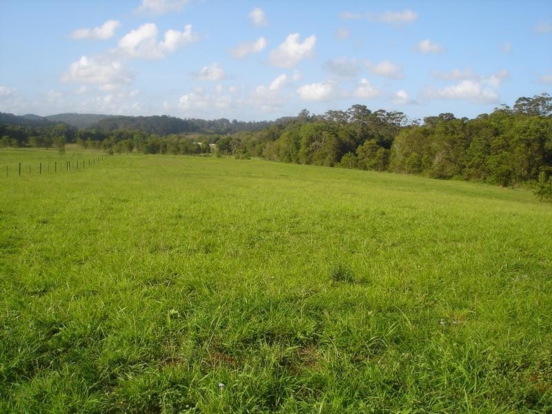 223 Diddillibah Road, Woombye QLD 4559