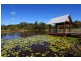 20 Petigrain Avenue, Palmwoods QLD 4555