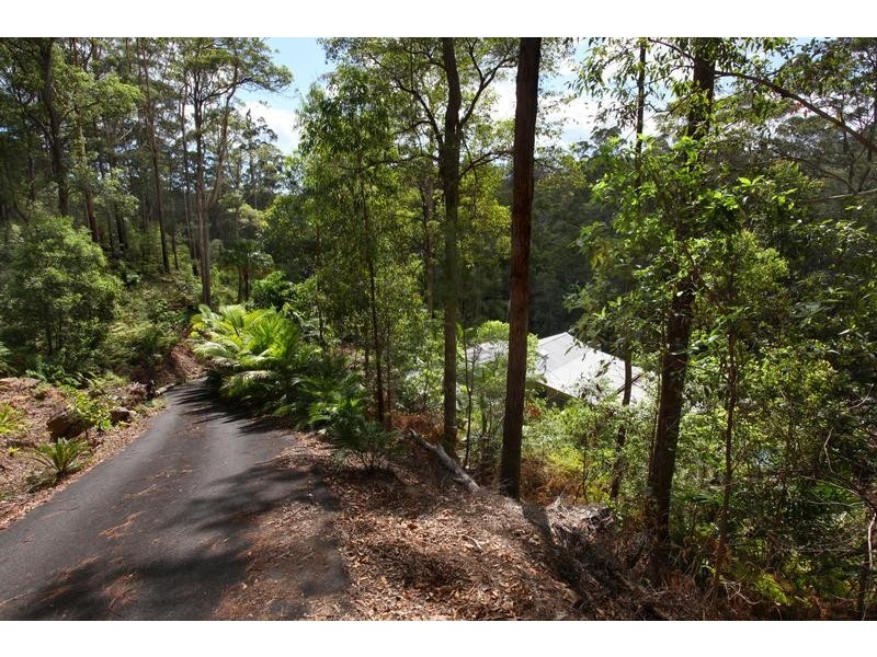 99 Olsens Rd, Ilkley QLD 4554