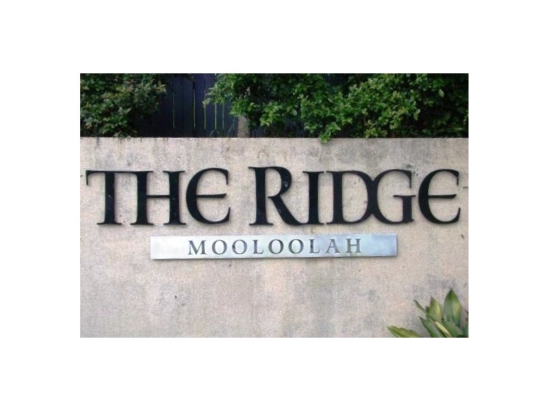 38 Ridge Court, Mooloolah Valley QLD 4553