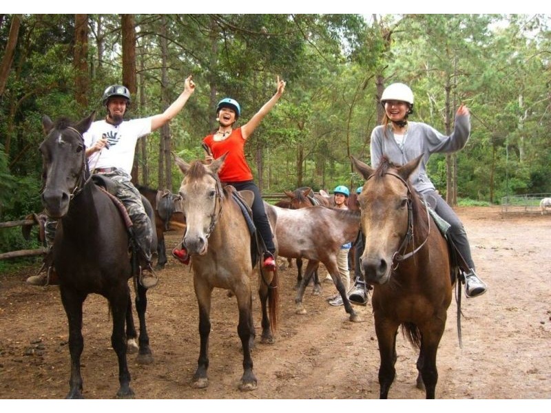 38 Ridge Court, Mooloolah Valley QLD 4553