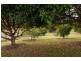 133 Nicklin Road, Palmwoods QLD 4555