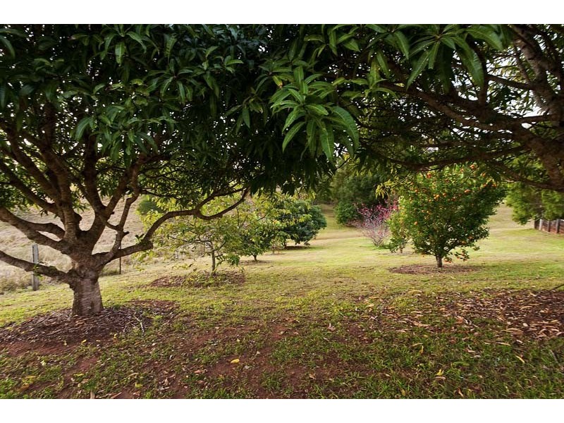 133 Nicklin Road, Palmwoods QLD 4555