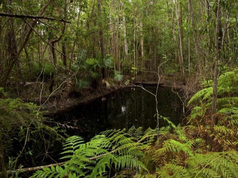 Lot 6, 142 Winston Road, Palmwoods QLD 4555