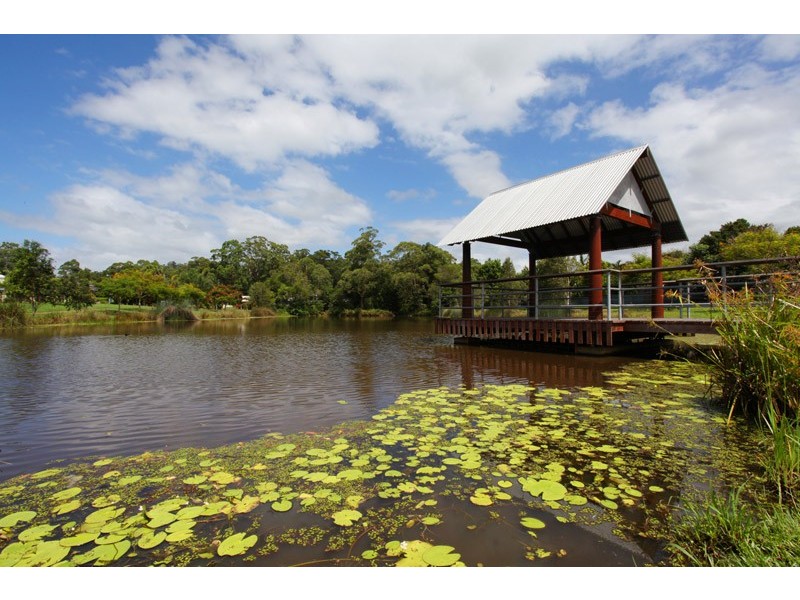 38 Petigrain Ave, Palmwoods QLD 4555