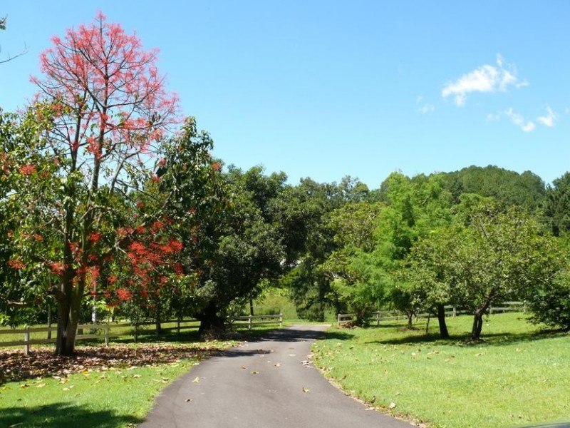 15 Annwal Lane, Palmwoods QLD 4555