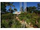 59 William St, Buderim QLD 4556