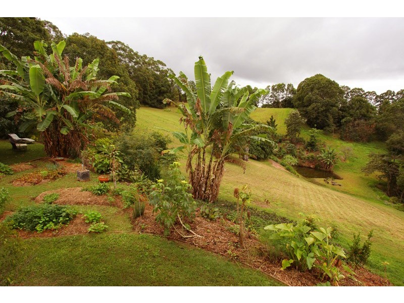 110 Woombye Palmwoods Rd, Palmwoods QLD 4555