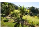 110 Woombye Palmwoods Rd, Palmwoods QLD 4555