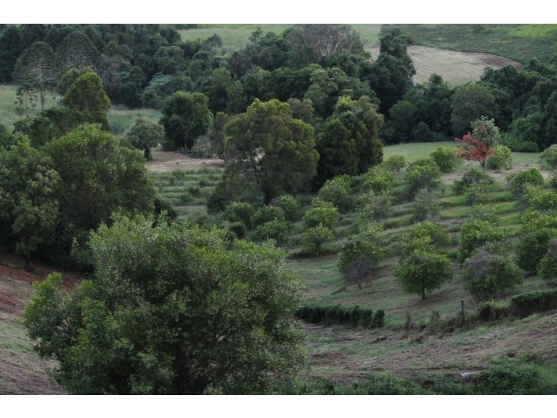 Dulong QLD 4560