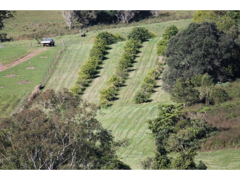 Dulong QLD 4560
