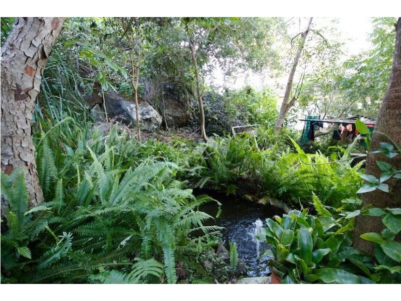 17 Parle Crescent, Buderim QLD 4556