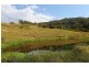 152 Shurvell Rd, Palmwoods QLD 4555