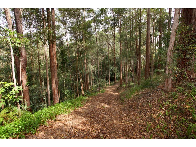 350 Kiel Mountain Rd, Kiels Mountain QLD 4559