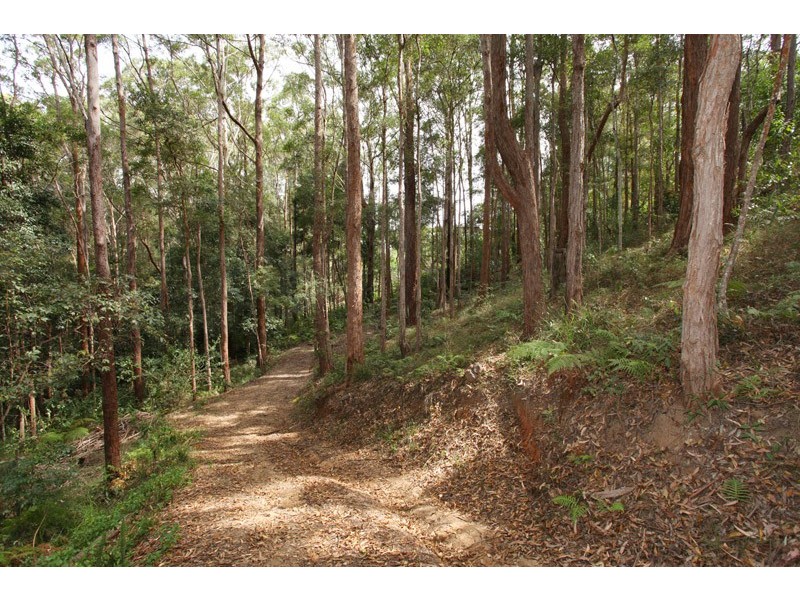 350 Kiel Mountain Rd, Kiels Mountain QLD 4559