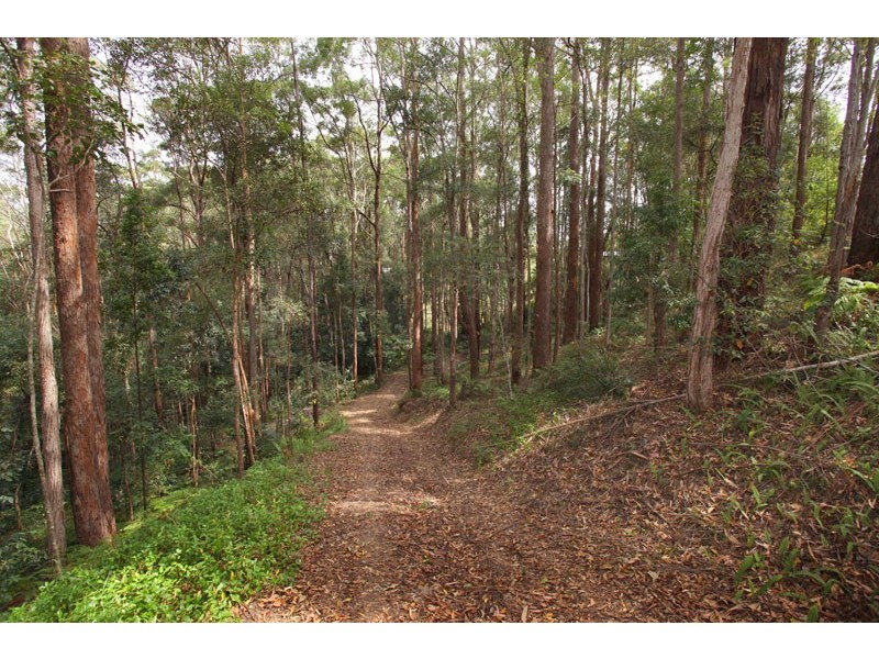 350 Kiel Mountain Rd, Kiels Mountain QLD 4559