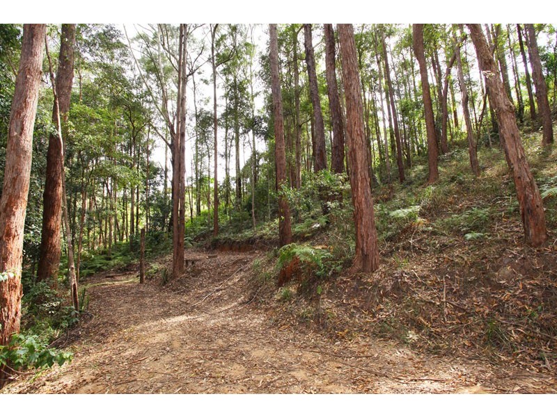 350 Kiel Mountain Rd, Kiels Mountain QLD 4559