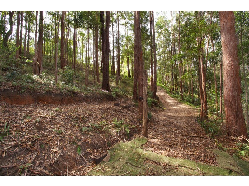 350 Kiel Mountain Rd, Kiels Mountain QLD 4559