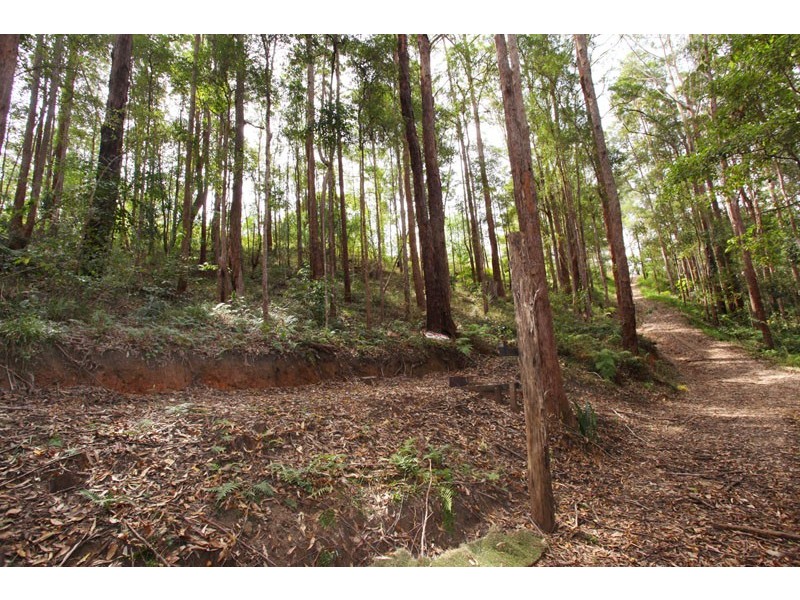 350 Kiel Mountain Rd, Kiels Mountain QLD 4559