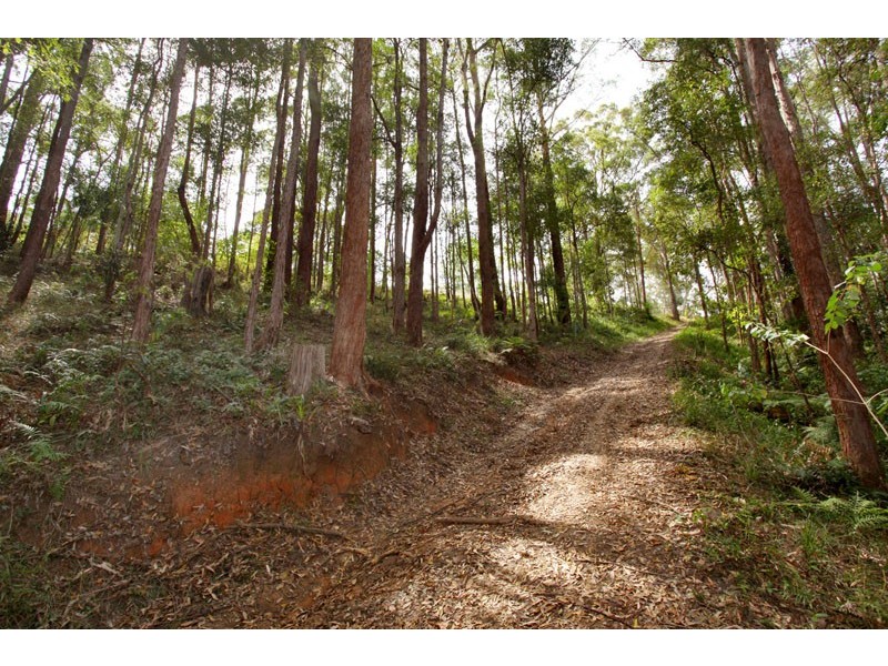 350 Kiel Mountain Rd, Kiels Mountain QLD 4559