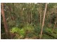 350 Kiel Mountain Rd, Kiels Mountain QLD 4559