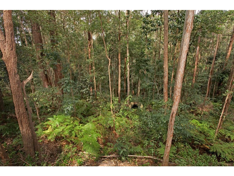 350 Kiel Mountain Rd, Kiels Mountain QLD 4559