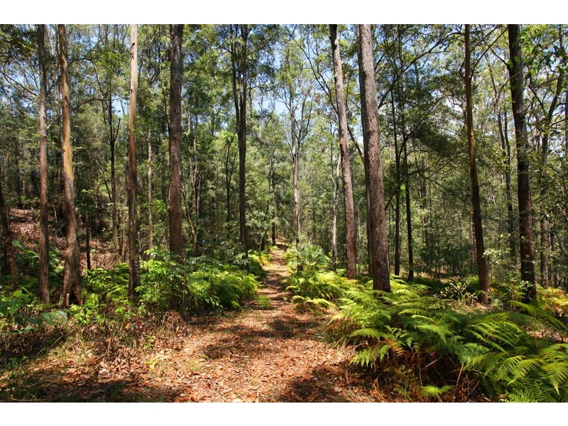 125 Ilkley Rd, Ilkley QLD 4554