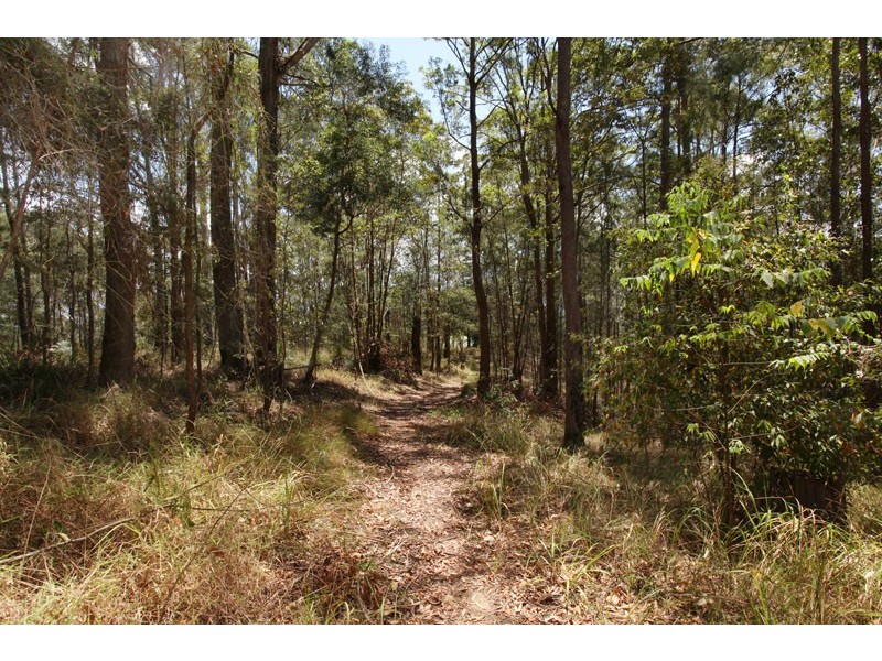 125 Ilkley Rd, Ilkley QLD 4554