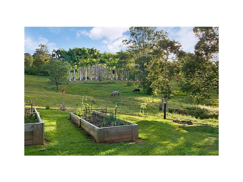 53 Simba Rd, West Woombye QLD 4559