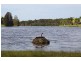 13/171-/203 David Low Way, Bli Bli QLD 4560
