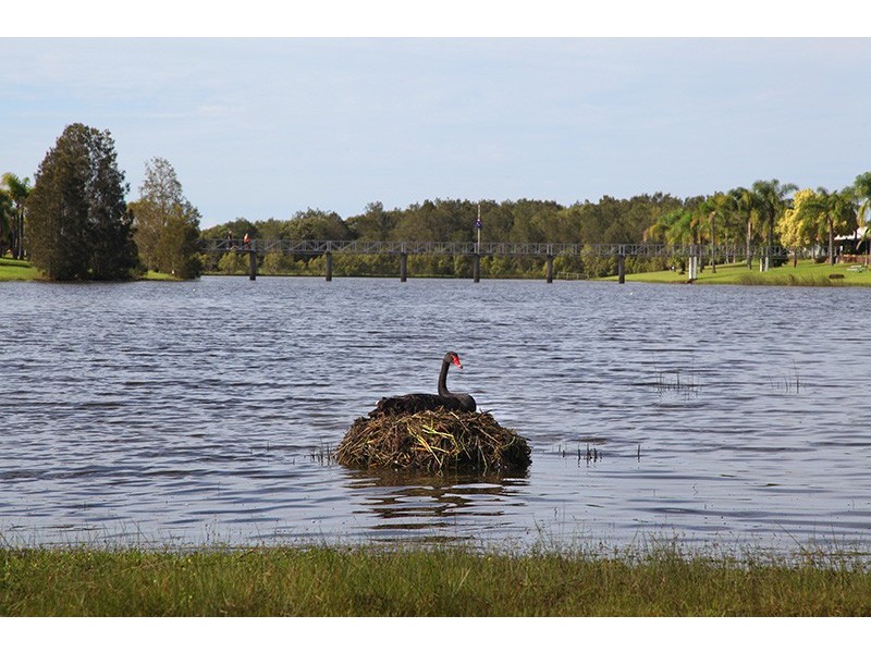 13/171-/203 David Low Way, Bli Bli QLD 4560
