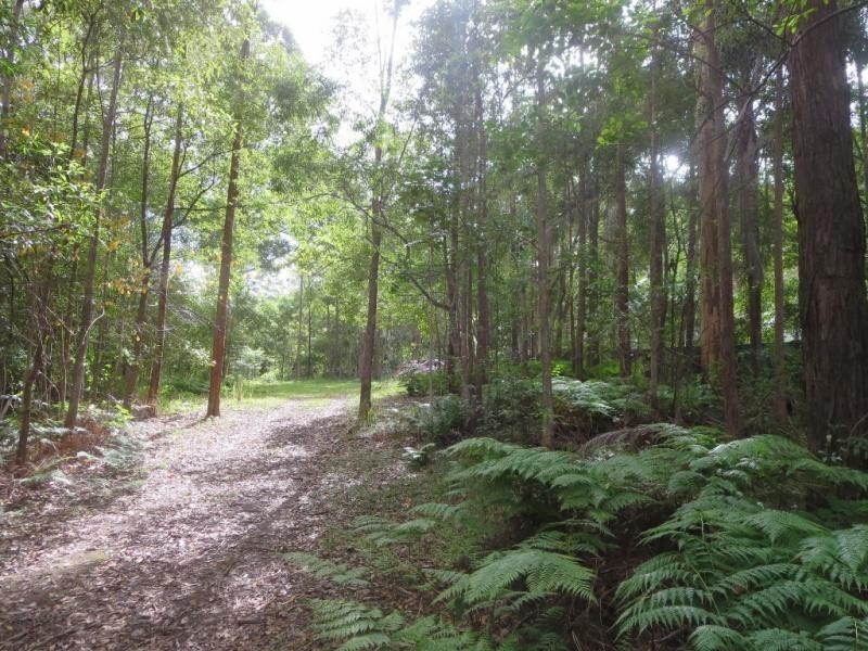 Lot 17, 38 Eucalyptus Cres, Ninderry QLD 4561