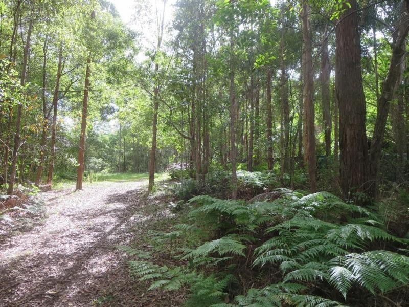 Lot 17, 38 Eucalyptus Cres, Ninderry QLD 4561