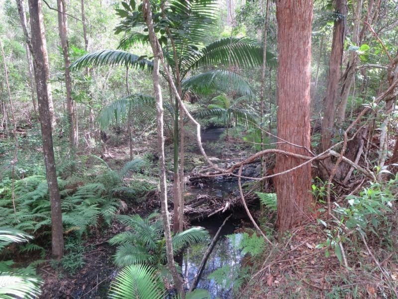 Lot 17, 38 Eucalyptus Cres, Ninderry QLD 4561